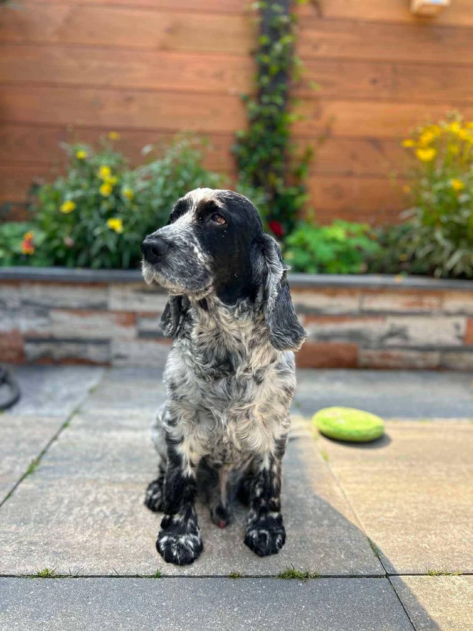 Billy in the original reference photograph